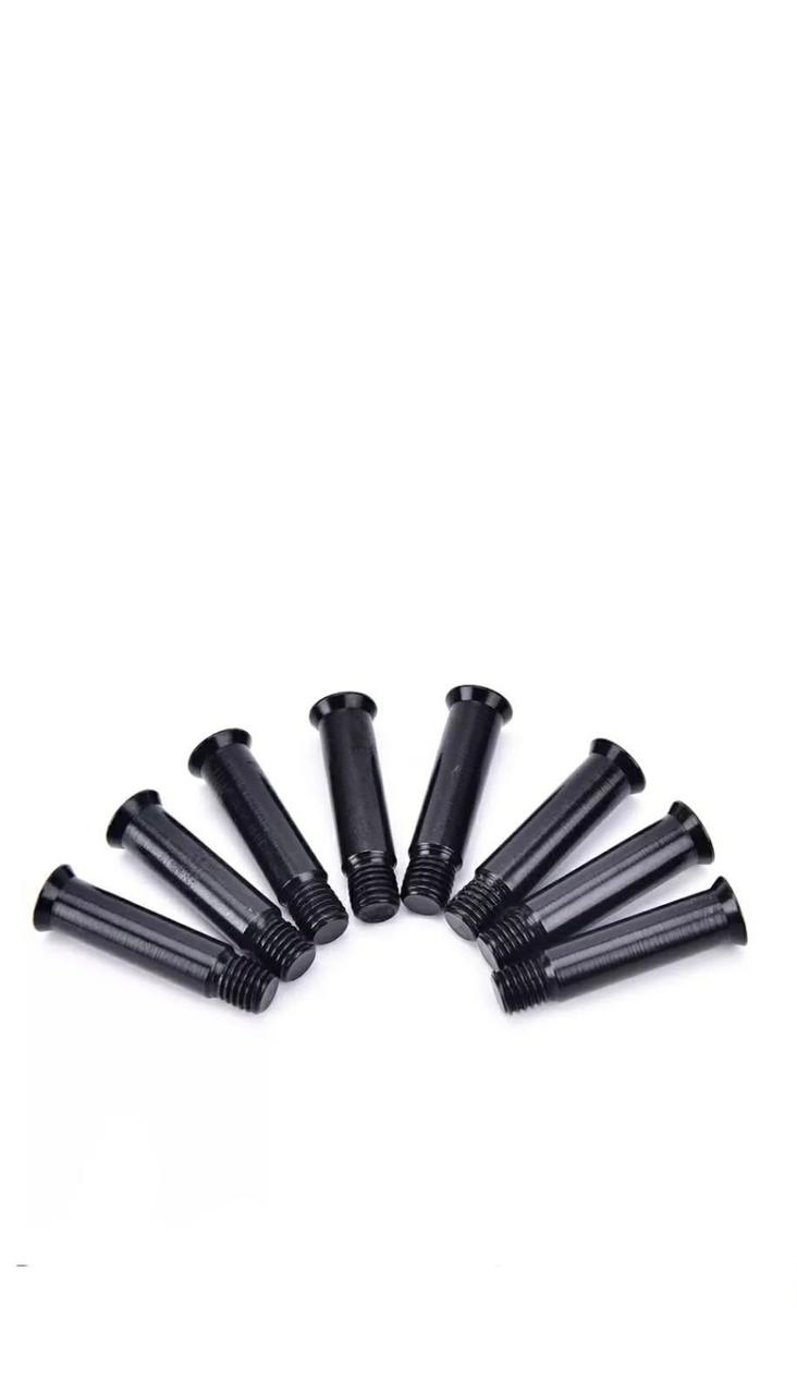 Frame screws
